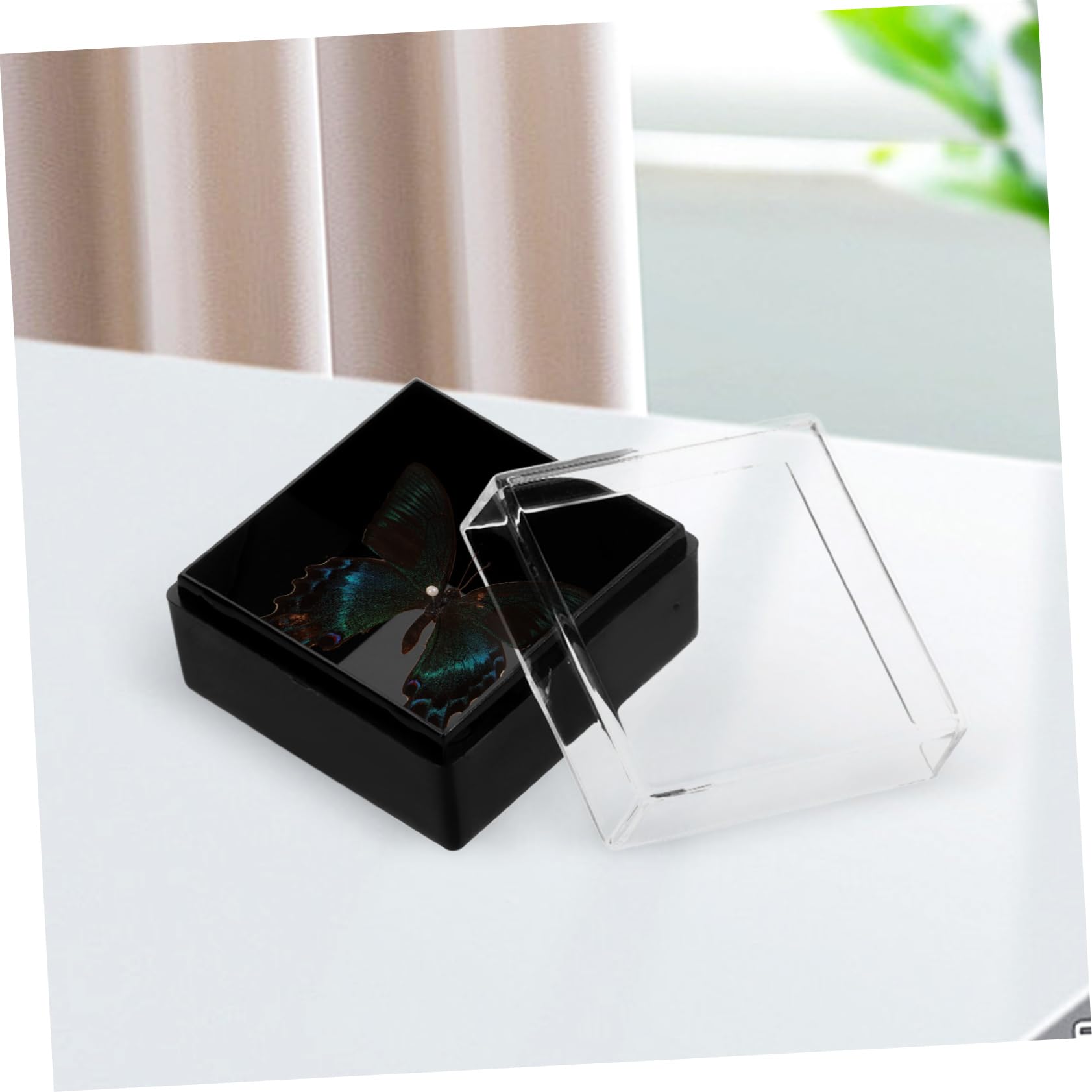 Amazon｜SEWOART 鉱物展示ケース 標本ショーケースボックス アクリル