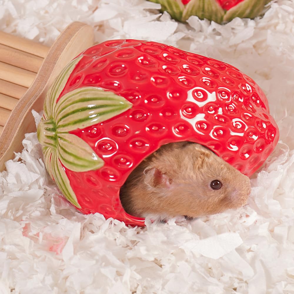 Kelivi Ceramic Hamster Hideout, Strawberry Hamster House and Habitat