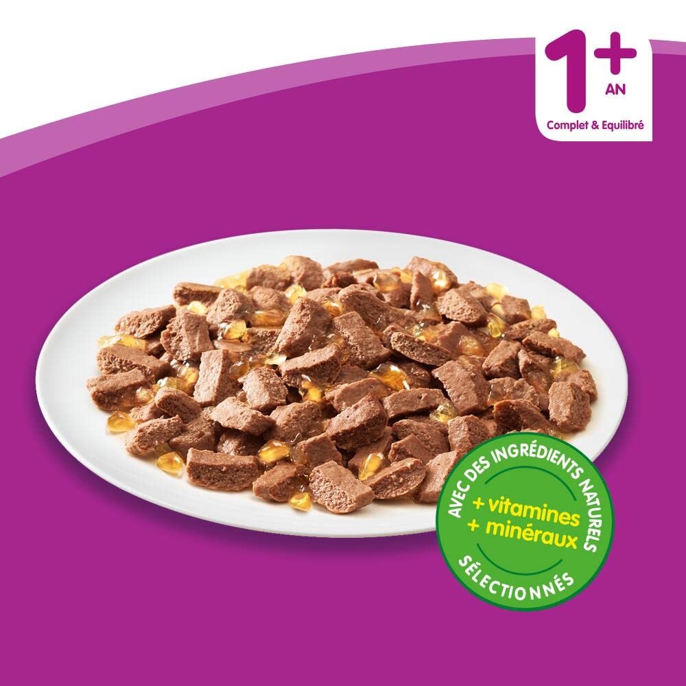 WHISKAS Repas pour Chat - 48 Sachets Fraîcheur 100g - Pâtée pour Chat en Gelée - Poulet/Saumon/Boeuf/Thon - Nourriture Complète & Equilibrée avec des Ingrédients Naturels, Adapté Chat Stérilisé