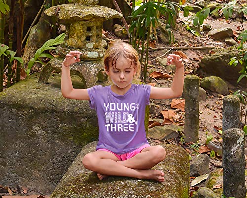 Image of Young Wild and Three Girl 3rd Birthday Outfit Toddler Shirts 3 Year Old Girls Third Party Tshirt