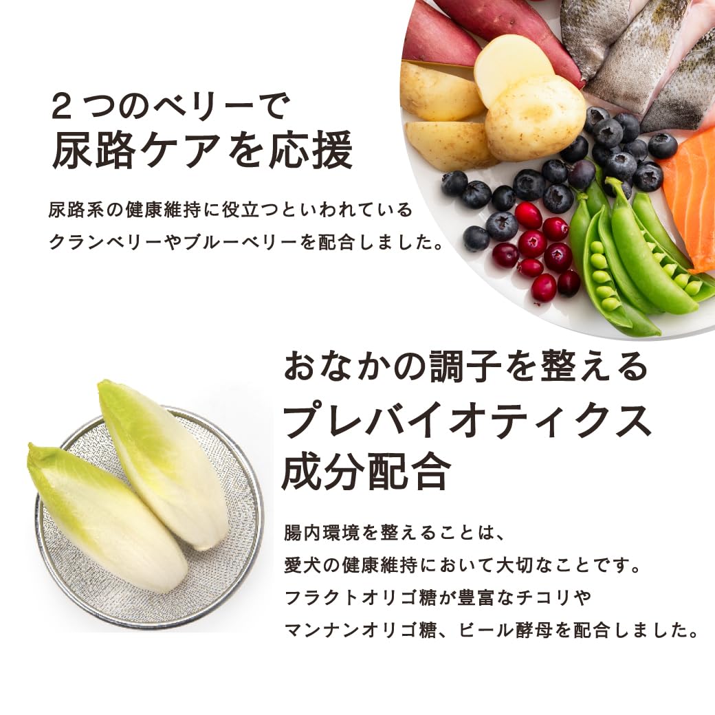 Amazon.co.jp: GRANDS (グランツ) 人工添加物不使用 グレインフリー 全