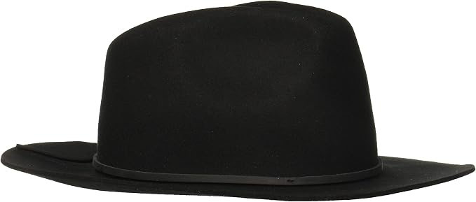 BRIXTON Men's Wesley Fedora : Amazon.co 
