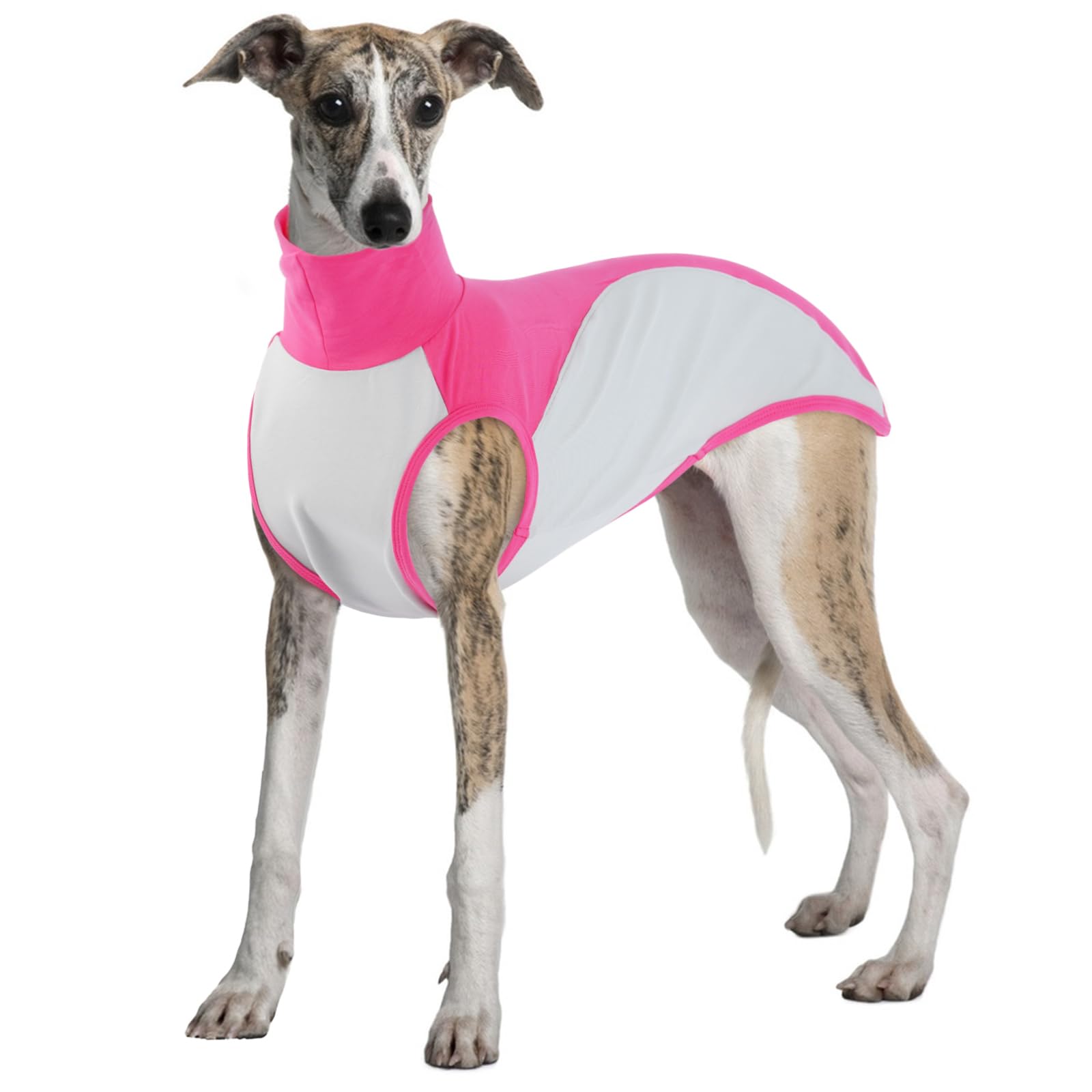 Body Post Operatoire Gilet Chiens Extensible pour Lévrier Rose 2XL