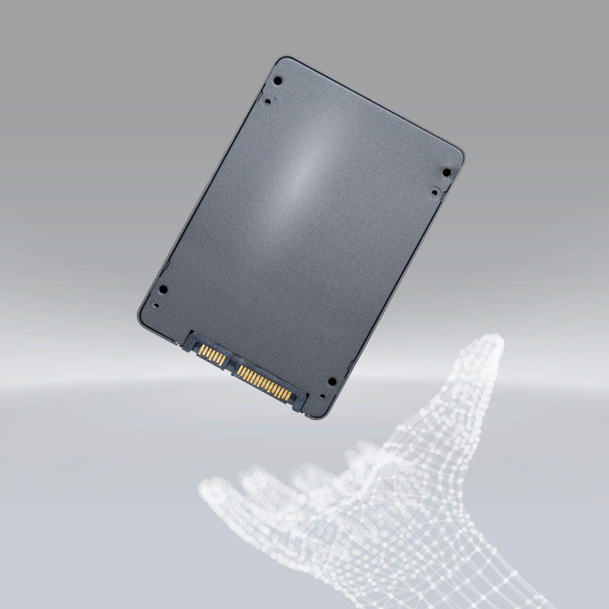 Amazon | LEVEN(レブン) JS600 SSD 256GB (小売10個パック) - 最大