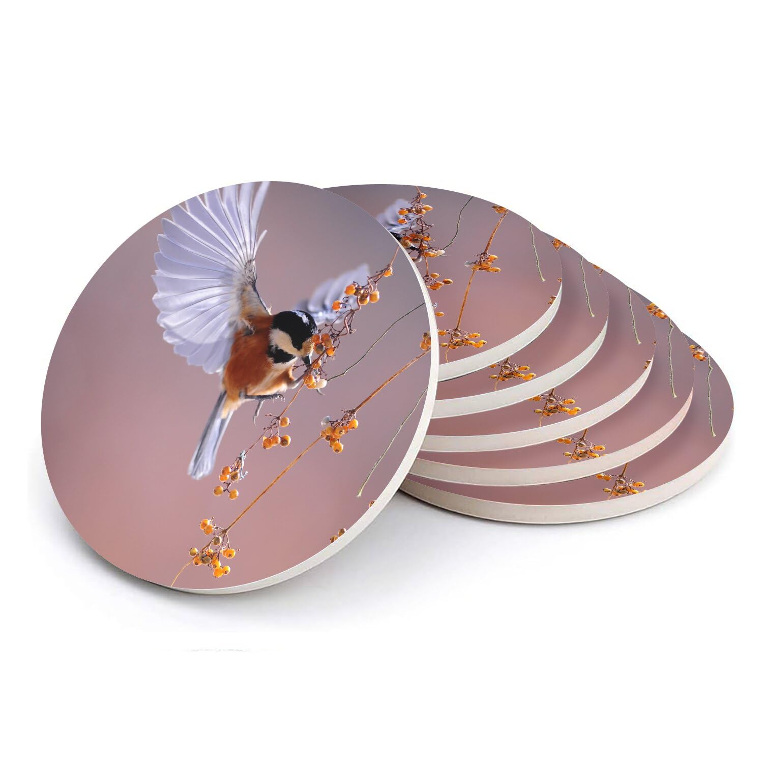 Sous-verre ronds en céramique oiseau en vol décoration poétique nature sauvage lot de 6