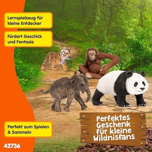 Schleich WILD Life | Asien Starterset 42736 | ab 3 Jahren | 4 Teile – Ansicht 6