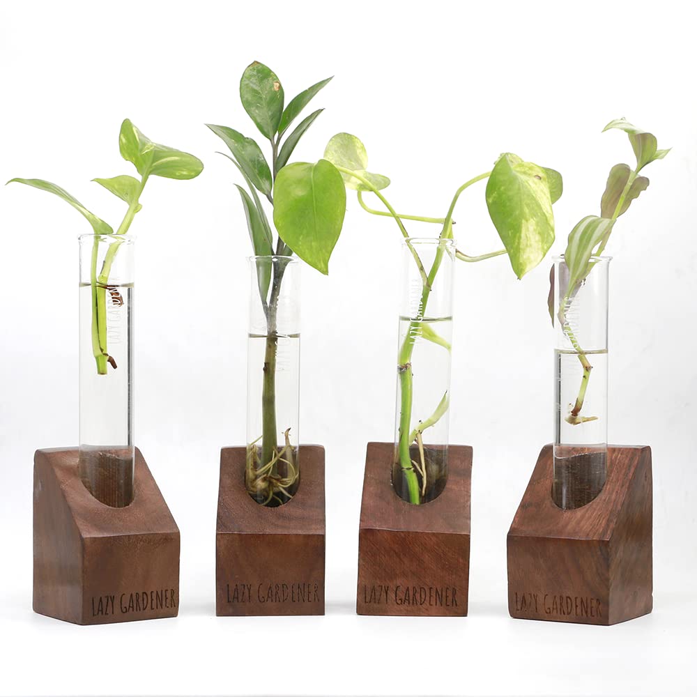 Lazy Gardener Test Tube Table Top Planter for Indoor Plants, Decorative Planter for Office, Home Balcony, Living (Sheesham Wood_Set of 4) (B08KZQS9P5) Amazon Price History, Amazon Price Tracker