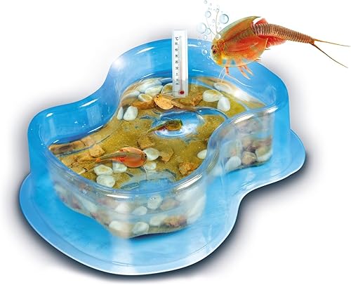 Miniatura 4 de Clementoni 62254.2 Triops Juegos Educativos y Científicos