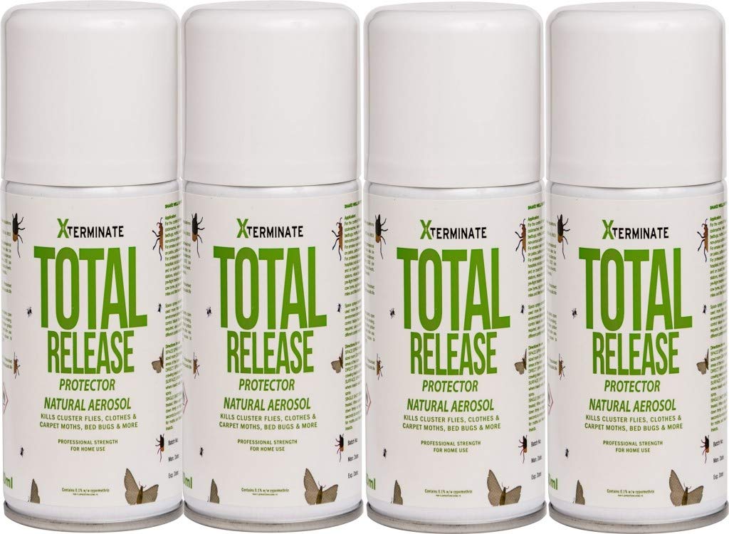 Cluster Fly Killer Spray One Shot Click Aerosol 150ml for Lofts, Attics