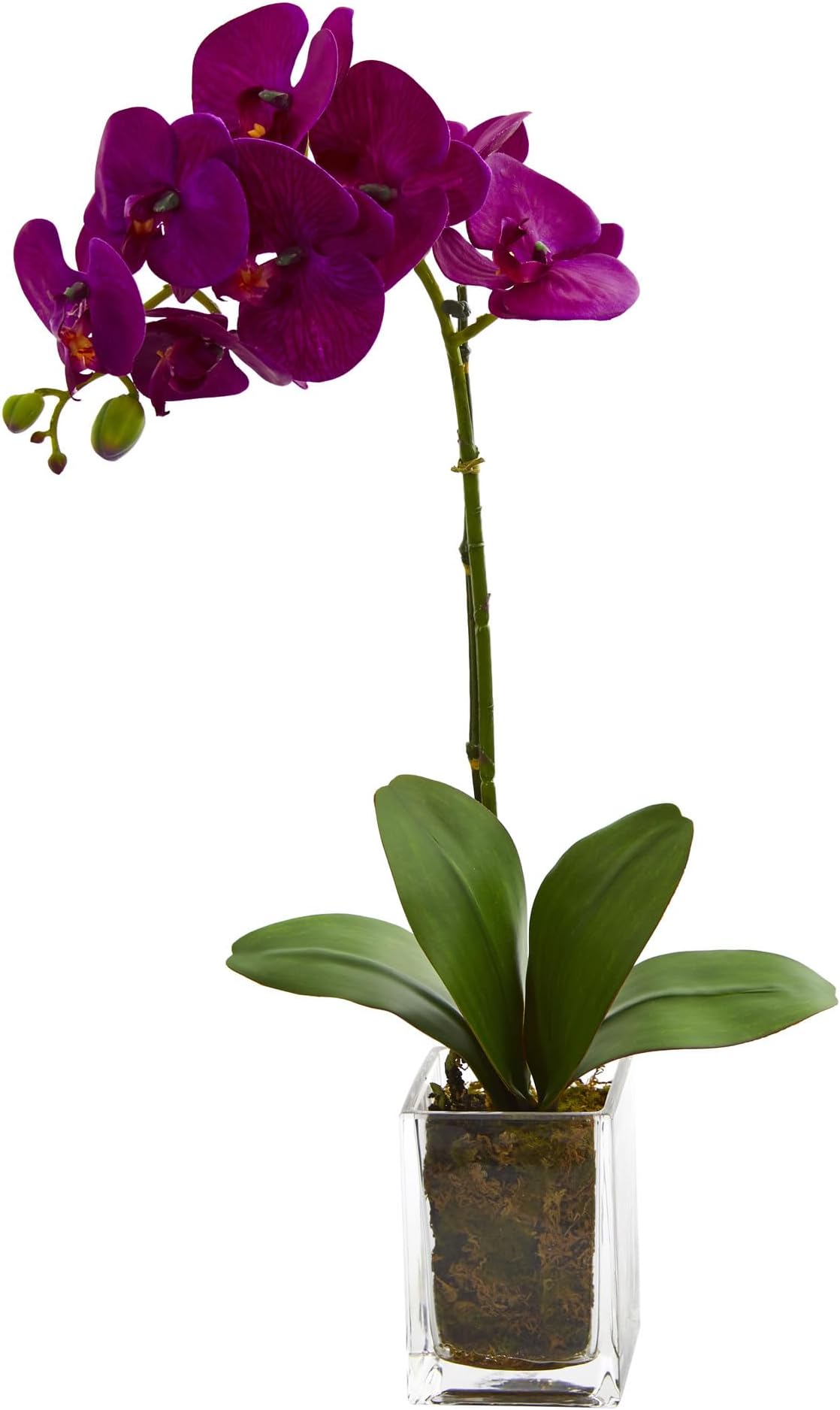 20in. Orchid Phalaenopsis Artificial Arrangement in Vase