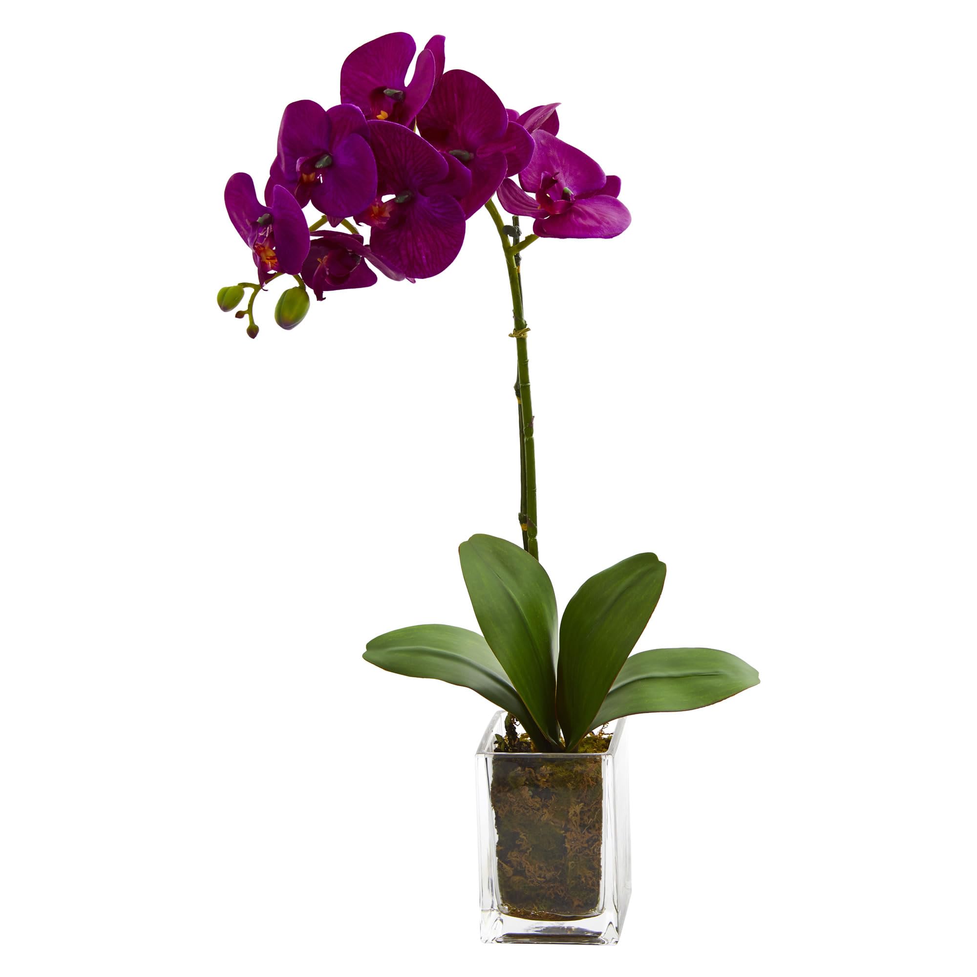 Nearly Natural24-in. Orchid Phalaenopsis Artificial Vase Silk Arrangements, Mauve