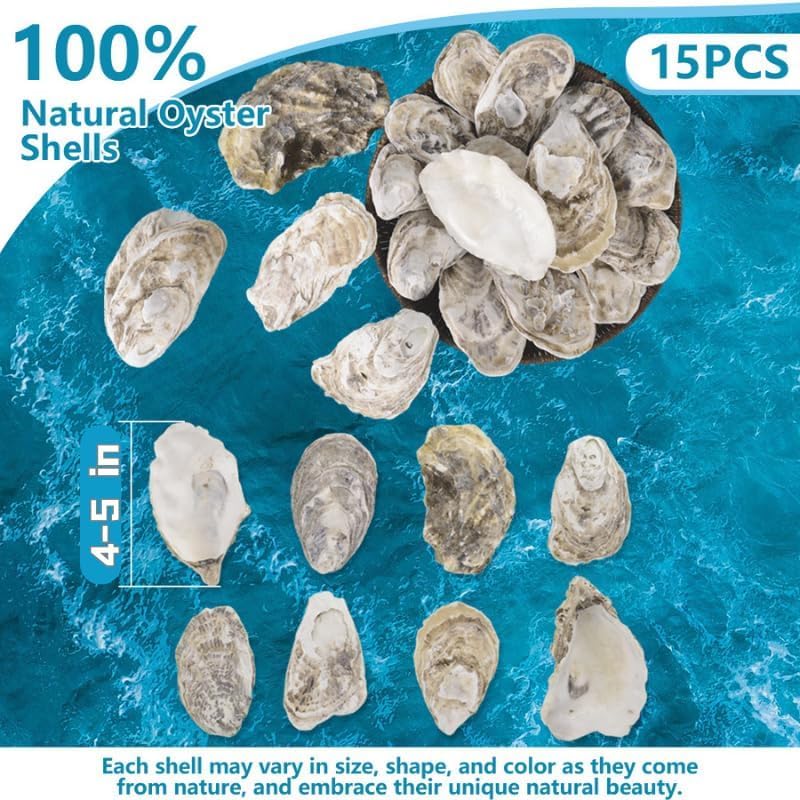 Miniatura 4 de Conchas de ostras grandes de 4 a 5 pulgadas para manualidades, 15 conchas de ostras naturales reales a granel para rellenos de huevos de Pascua,