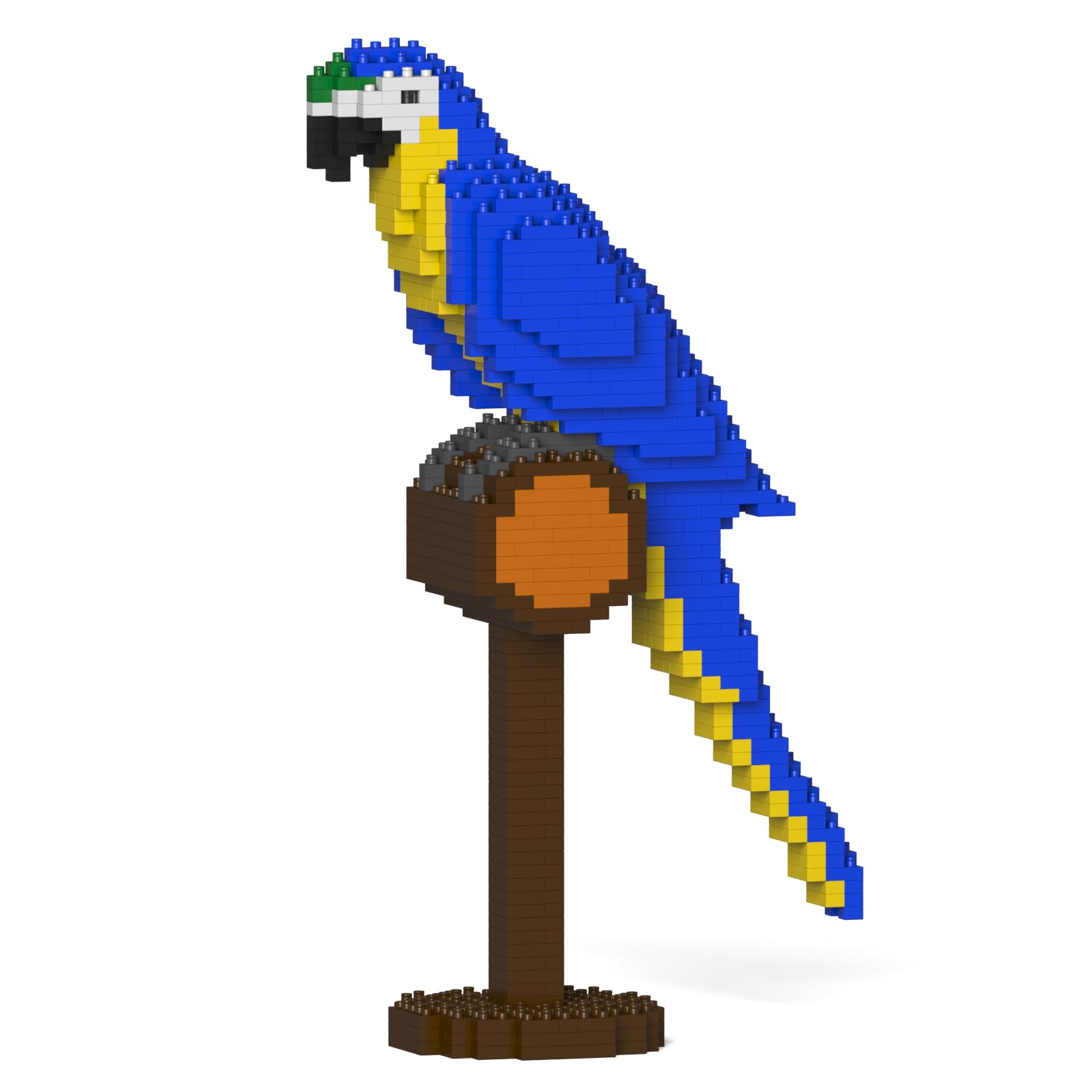 Assembled JEKCA Blue-and-Gold Macaw 01S model with dimensions: Length 18.1cm, Width 8.1cm, Height 31.7cm.