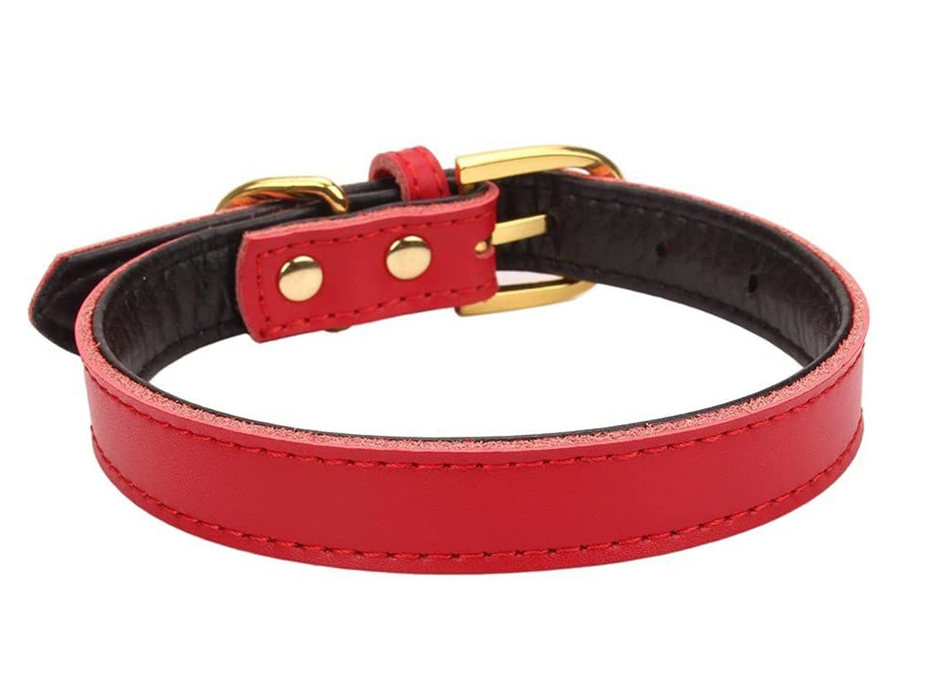Kuivoo Hundehalsband Aus Weichem Leder – Gepolstert & Verstellbar Für Kleine Bis Große Hunde