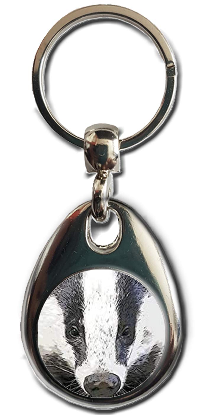 Kazmugz Multicolor Badger Keyring. Heavy Quality Metal Gift Keyring. Double Sided Keychain. British Wildlife Gift.