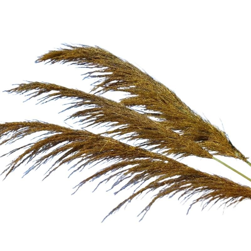 Pasto Pampas Grande Seco Flores Decoración Amarillo miniatura 7