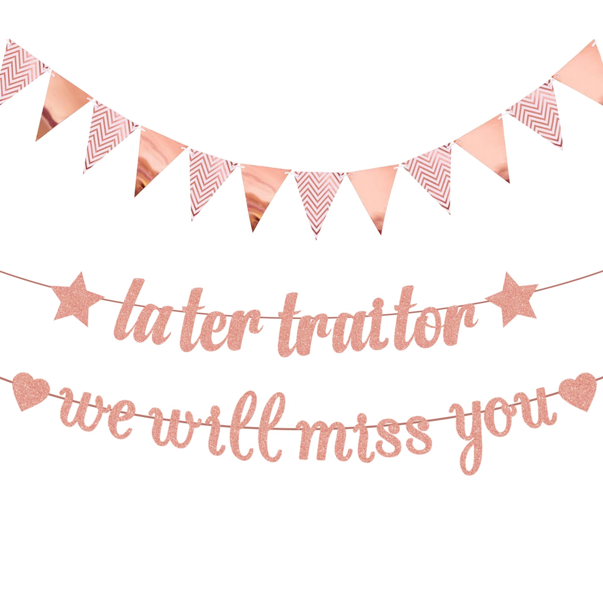 Sorry Your Leaving Banner Decorations, Farewell Party Supplies We Will Miss You Later Traitor Banners