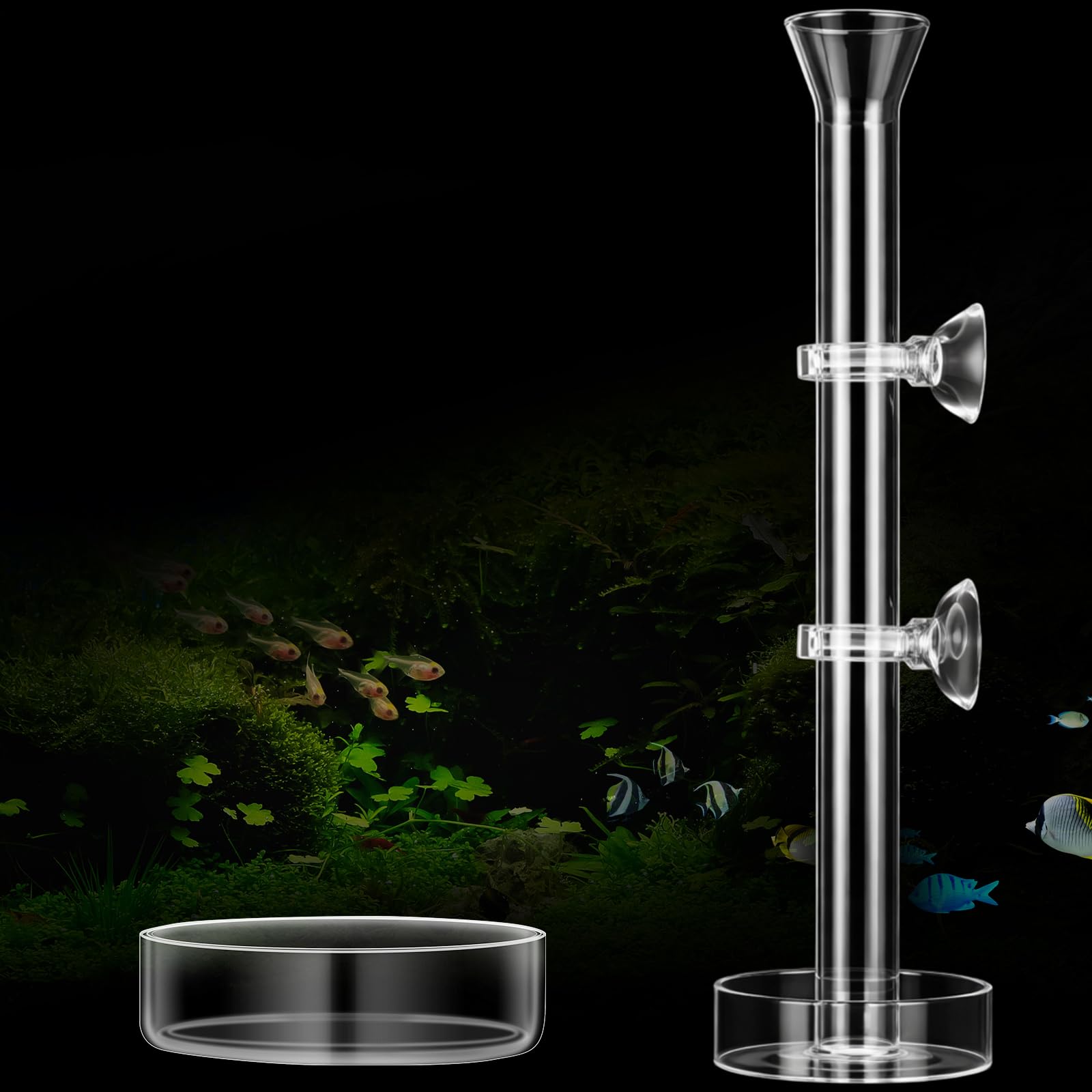 CHENGU 3 Pcs Shrimp Feeding Tube and Dish, 10" + 2 Tray for Aquarium