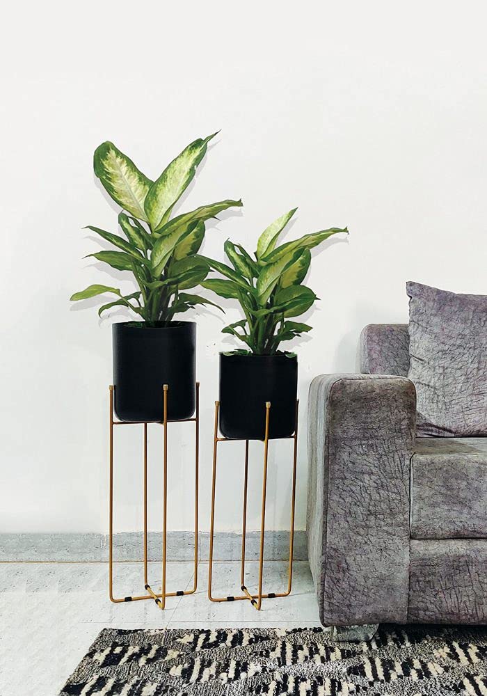 Pots de fleurs en fer haut de gamme noir et laiton pour intérieur chic
