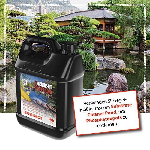 ARKA Pond Sili-Out 2-13,7 kg - Leistungsstarker Silikat Absorber, entfernt effektiv Silikat, Phosphat und weitere Schadstoffe aus jedem Gartenteich, verbessert deutlich die Wasserqualität.