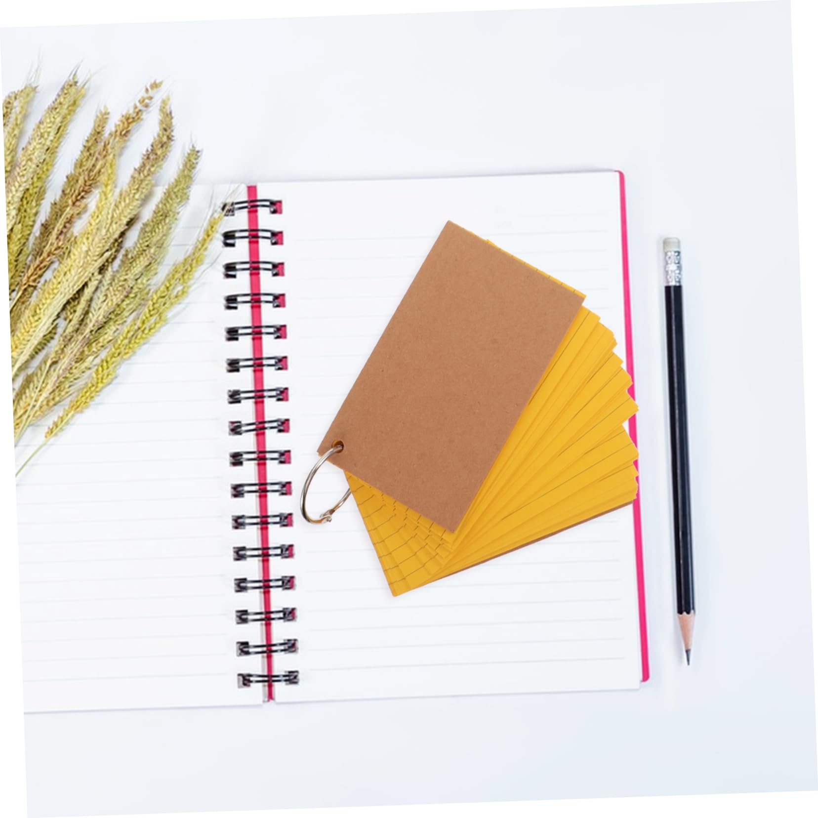 10 Stück Doppelseitige Linierte Vokabelkarten mit Papierumschlag | Ringen, Edelstahl und Papier, für Arbeit und Meetings, Kompakt und Tragbar