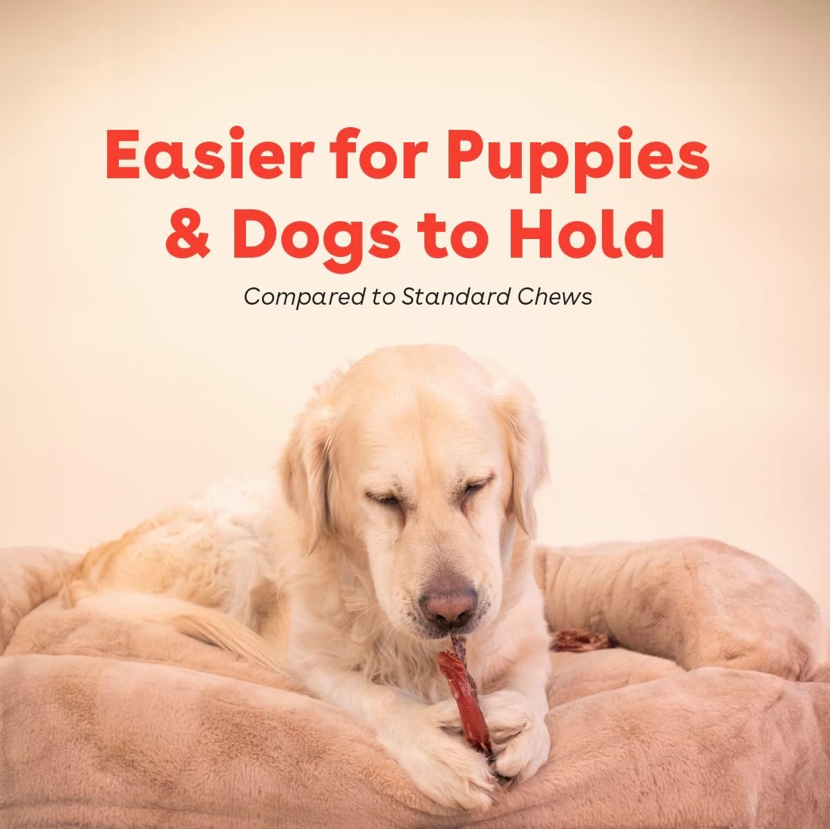 Pupford Bully Stick Rings for Puppies & Dogs, Long-Lasting Beef Dog Chew Treats, 8 Pack