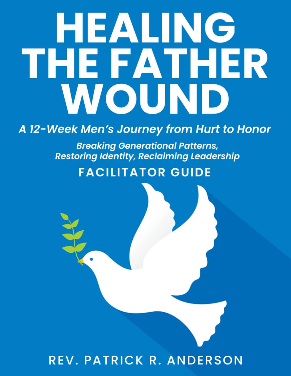 Healing the Father Wound: A 12-Week Men’s Journey from Hurt to Honor: Breaking Generational Patterns, Restoring Identity, Reclaiming Leadership (Facilitator Guide)