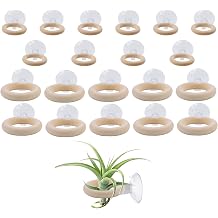 20 PCS Air Plant Holder Suction Cup, 2 Sizes Small Wooden Tillandsia Hanger with Suction Cups for Smooth Glass, Tile, Window, Metal Surface Home Decor Display Plants Not Included