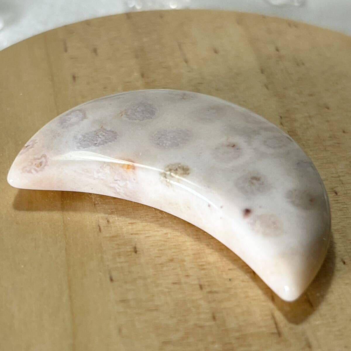 あ〜きゃん様 高品質 フォッシルコーラル 月 ムーン 握り石