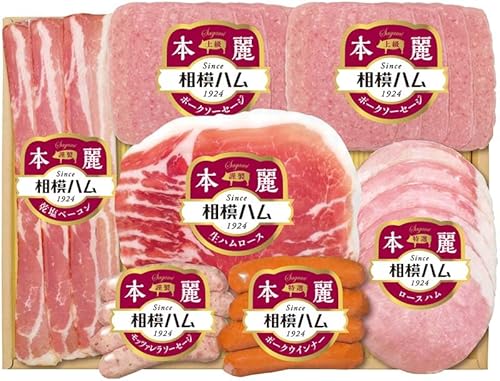 Ε 2025 Ε AΕ Mtg v[g̓n {oGeBMtg ̂ 