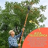 GrecoShop B00FXWWMRE lato 4