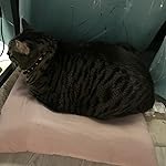 Review Image by Jenny