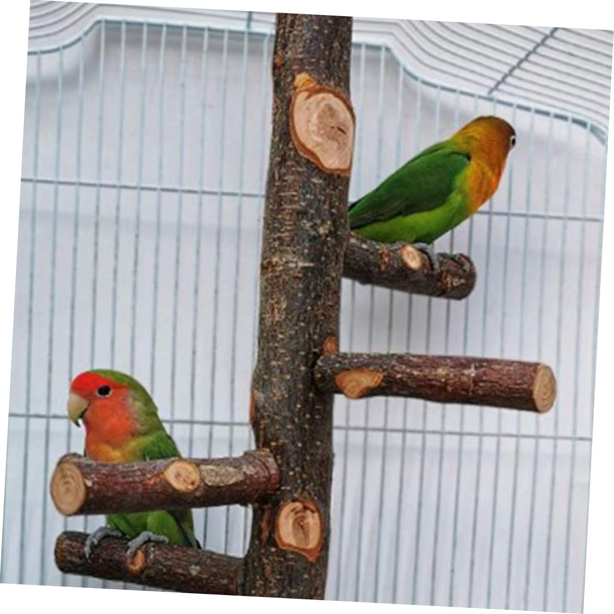 BESPORTBLE 2ensembles Perchoir à Oiseaux Naturel Support De pour Cage Accessoire De Perchoir pour Perroquets Et Petits Oiseaux Stabilité Et Confort Assurés Moyenne