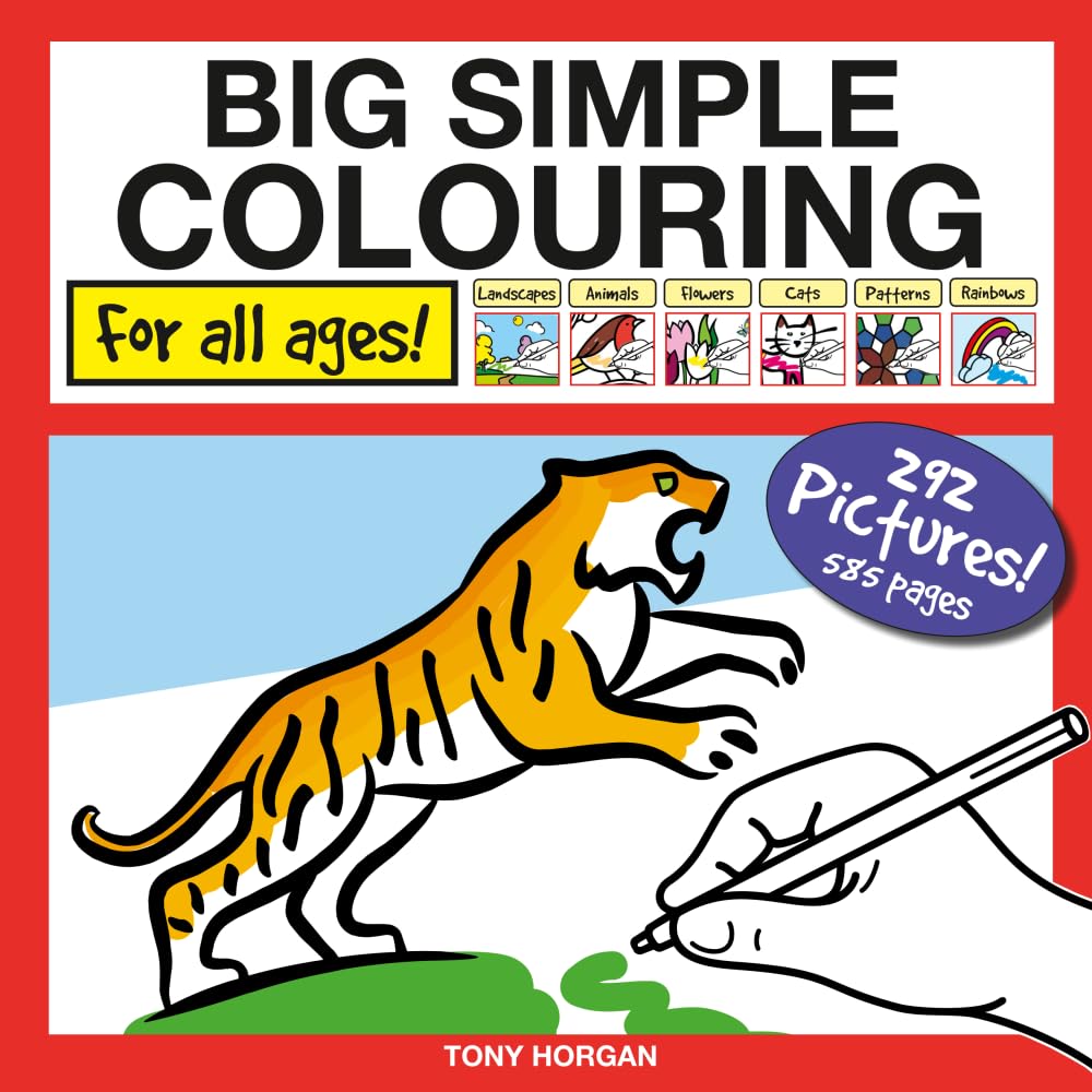 BIG SIMPLE COLOURING: FOR ALL AGES