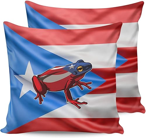 Pack of 2 Cozy Throw Pillow Covers Puerto Rican Frog Square Throw Pillow Covers 16x16 Inch for Sofa Couch Decoration