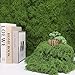 Ovveroche Fake Moss for Crafts 39