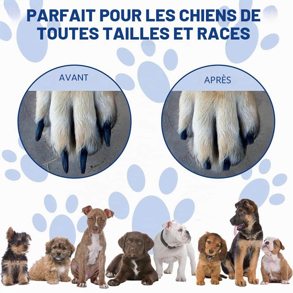 Planche à gratter pour Les Ongles avec boîte à goûter, Tableau à griffer pour Chien avec 2 Feuilles de Papier de Verre de Rechange, Bloc à gratter Alternatif