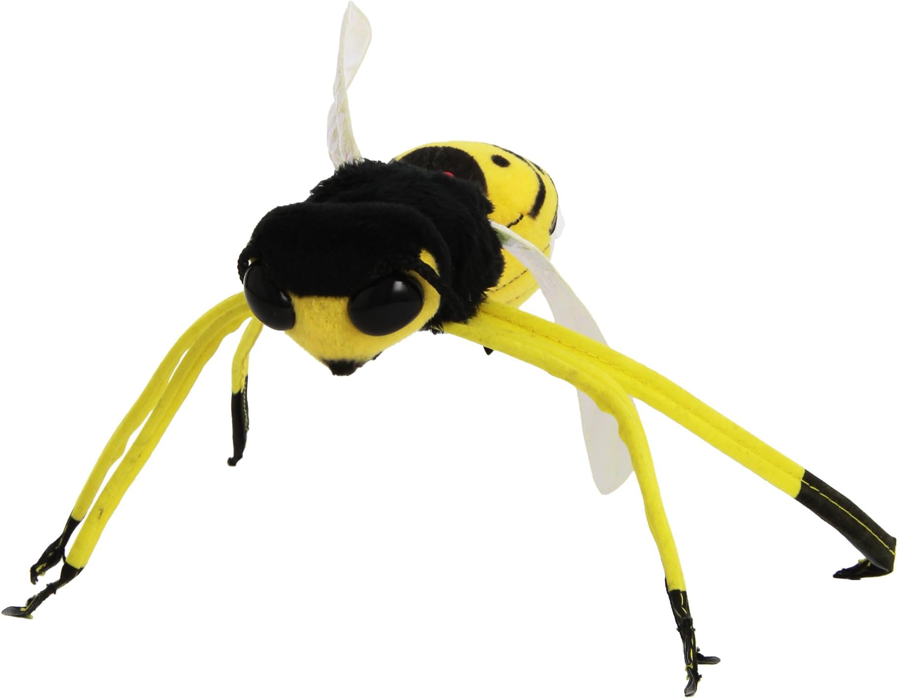Trudi Wasp
