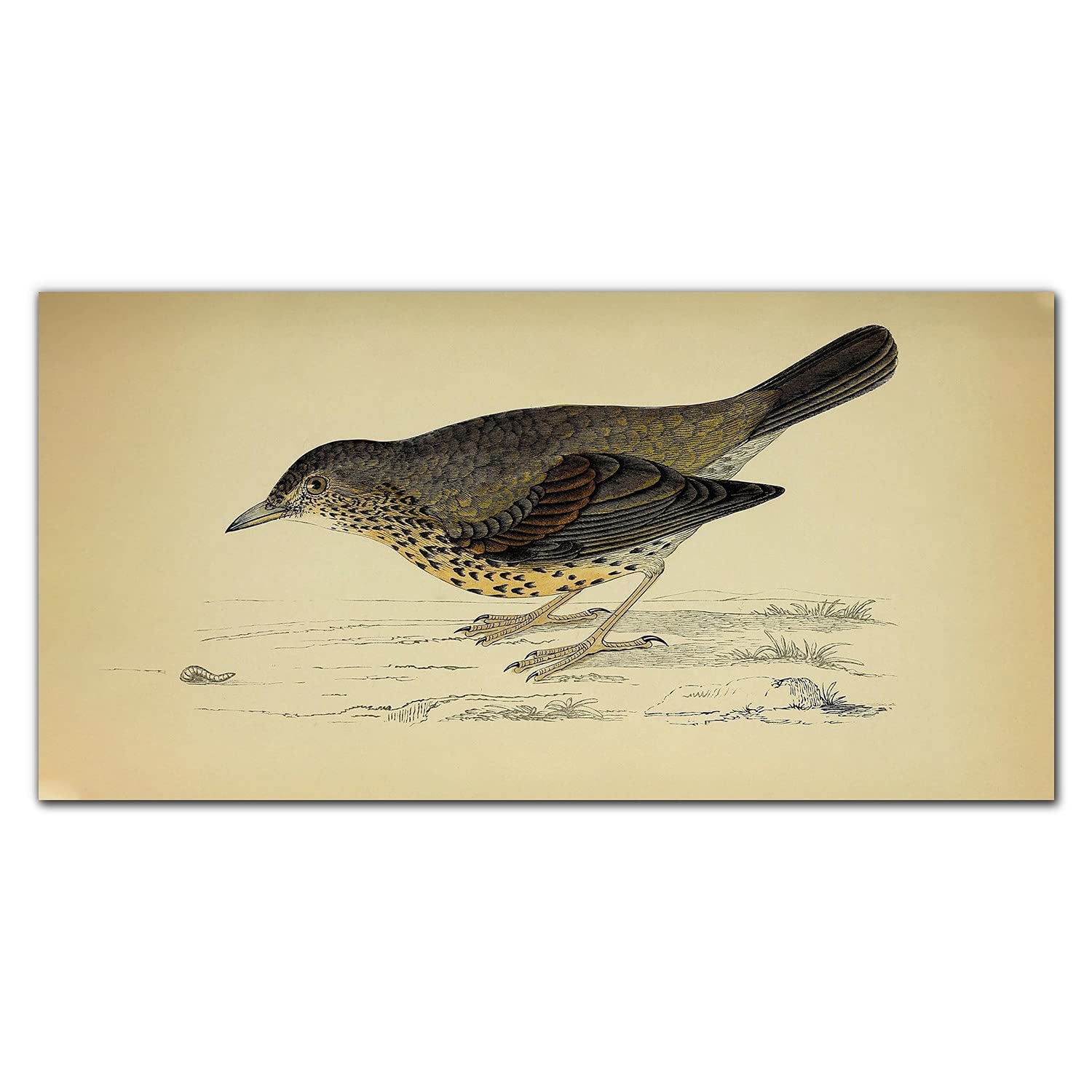 Crédence de cuisine adhésive murale en verre avec un joli dessin d'oiseaux