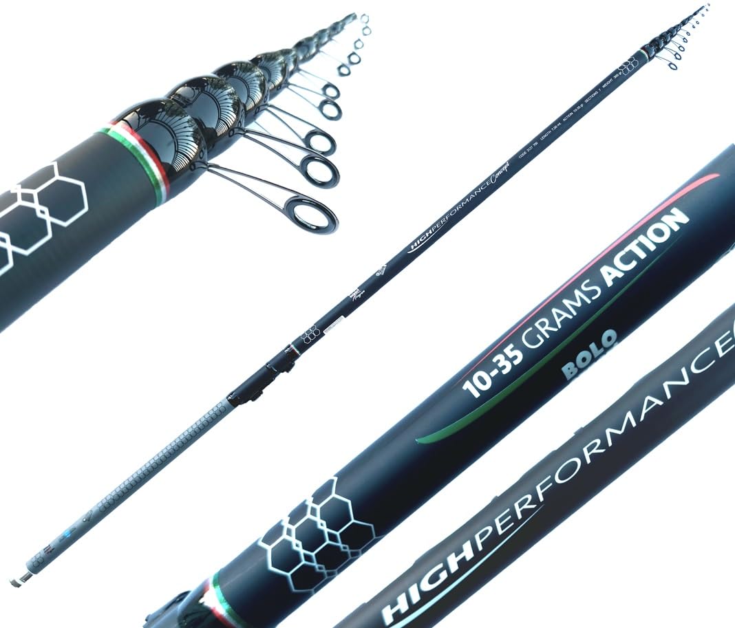 Canna Bolognese Competizione 7 Metri Azione Punta Pesca Mare Spigola Pegaso