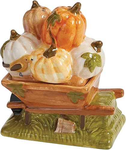 Park Designs Punkin' Patch - Juego de sal y pimienta