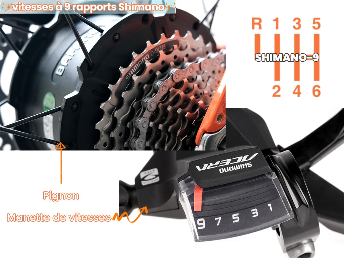 Vélo Électrique en Aluminium Ranger 26Pouces, 250W 25 km/h 52V 20Ah 1040Wh 128 km, Amortisseur à air, Freins à Disque Hydrauliques