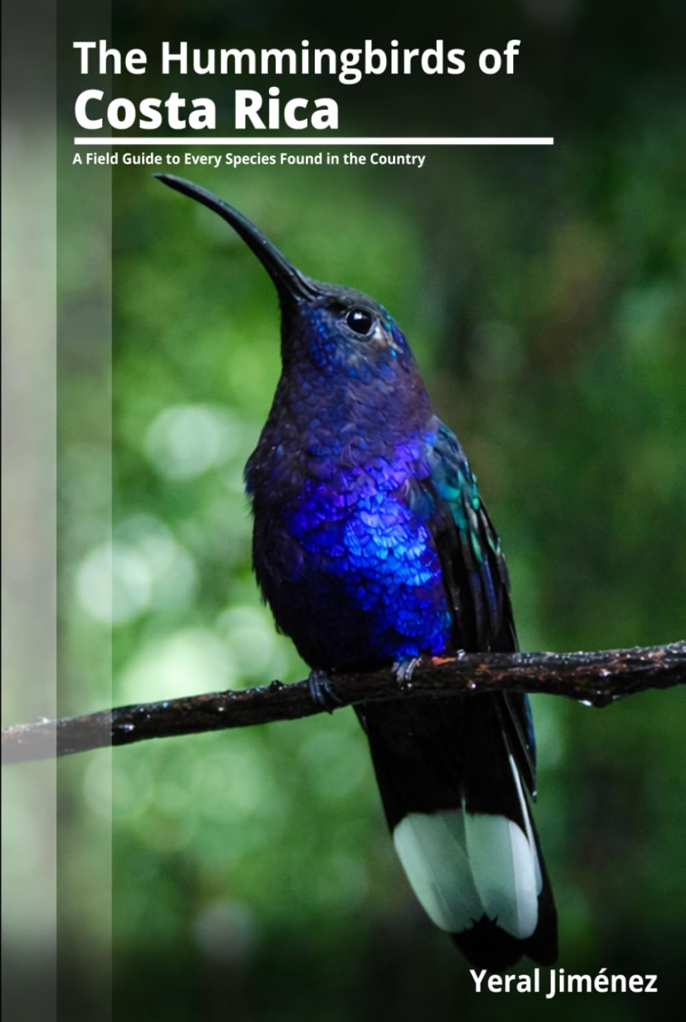 The Hummingbirds of Costa Rica: A Field Guide to Every Species Found in the Country (Birds of Costa Rica)      Hardcover – January 28, 2026