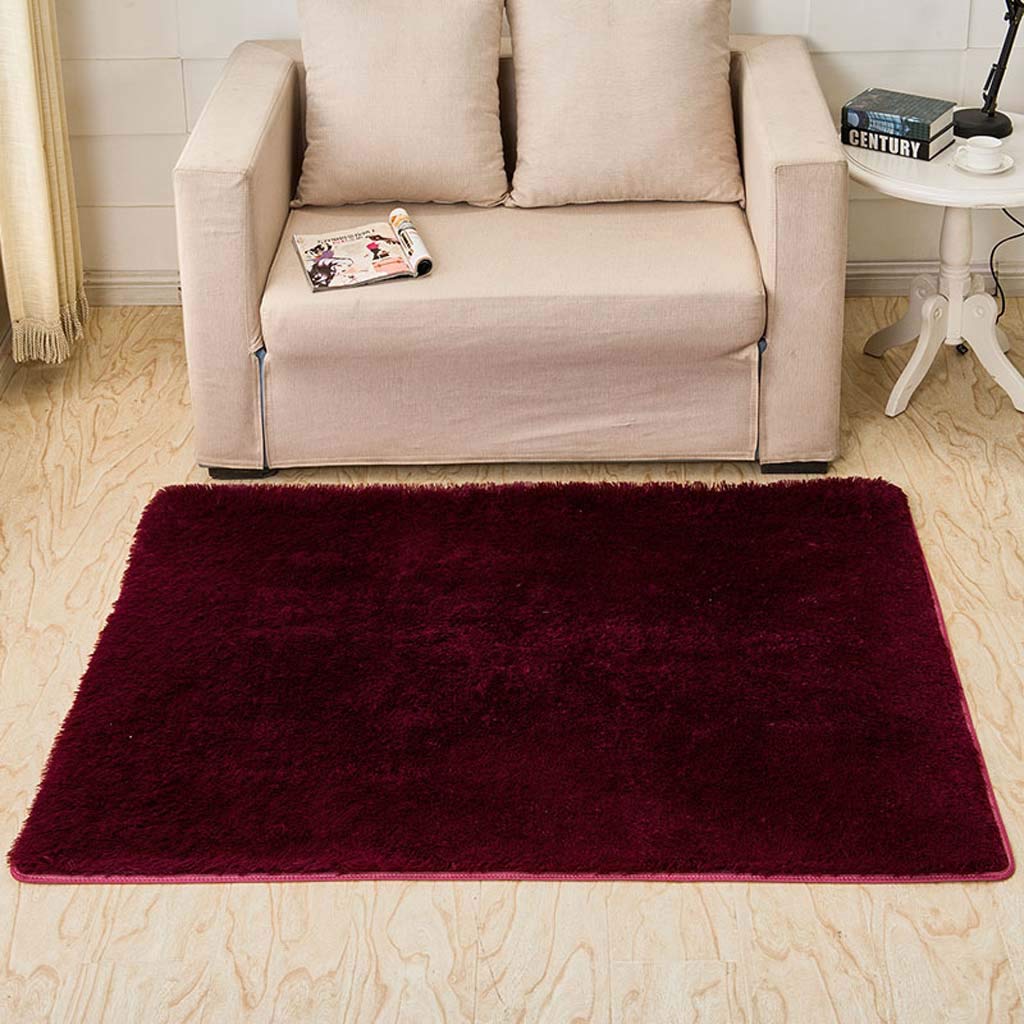 Tapis de soie 80x120cm pour salon table basse et chambre douce