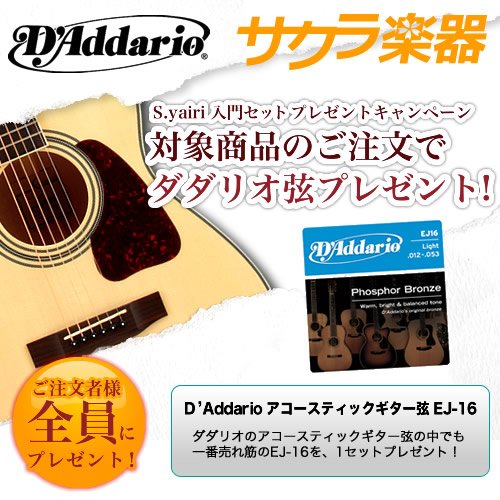 Amazon | S.Yairi ヤイリ アコースティックギター YD-5R/3TS サクラ