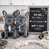 Vista 9 de Cartel de tablero de letras intercambiables con marco de madera de 12 x 16 pulgadas con soporte, tablero de palabras con letras intercambiables