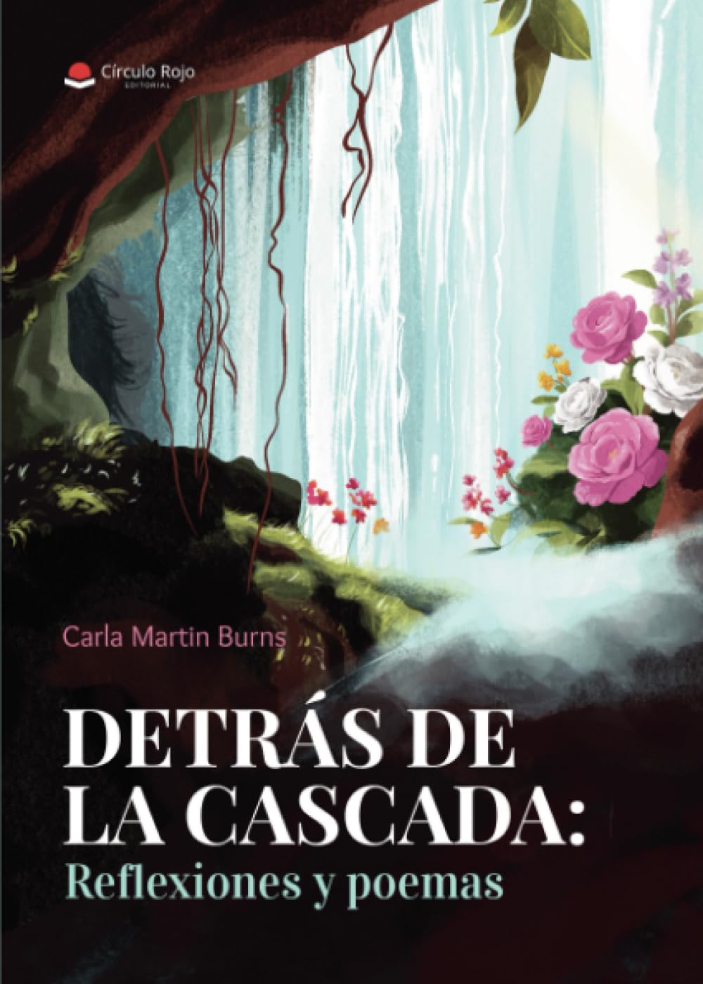 Detrás de la cascada: reflexiones y poemas