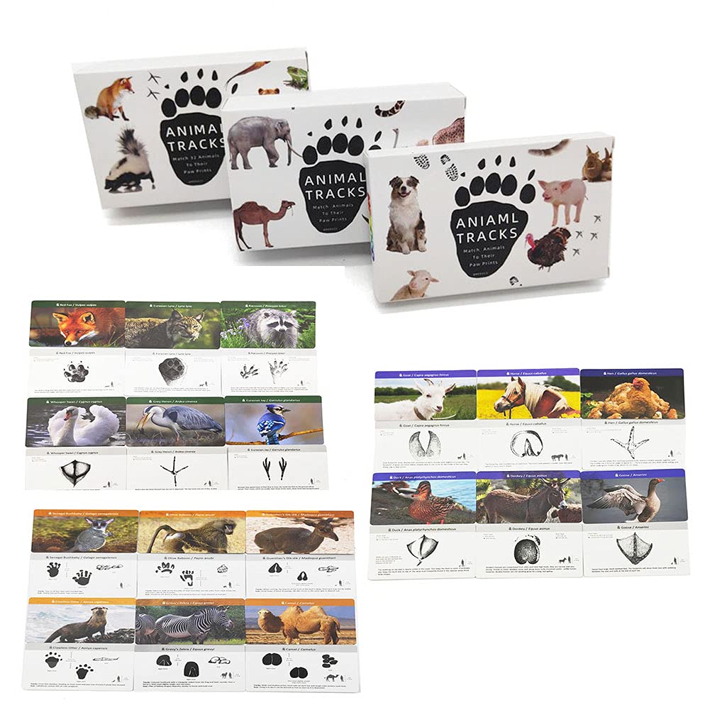 MEROCO Animal Track Game Flash Cards