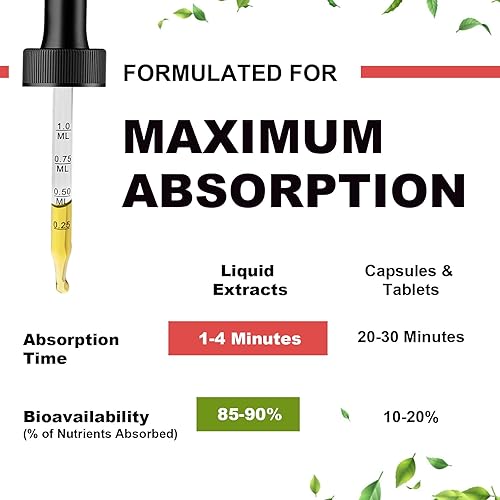 Miniatura 6 de Gota líquida de glicinato de magnesio, potasio y magnesio con vitamina B, C, D, K, l-teanina, masa de masa para la salud ósea, nervios, músculos y