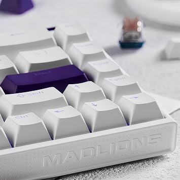 FKZ X MADLIONS Nano 68 Rapid Trigger RGB Gaming Keyboard,Adjustable Actuation Hall Effect Magnetic Switch 65% Wired Mechanical Keyboard,8K Hz Polling Rate for PC/Mac Gamer (Magnetic Pro Switch)